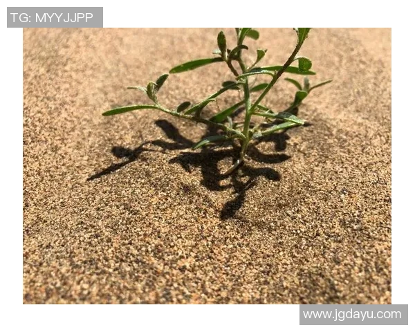 王汝恒：在科技创新浪潮中引领未来发展的青年领袖之路